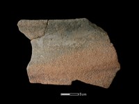 藏品(陶缽)的圖片